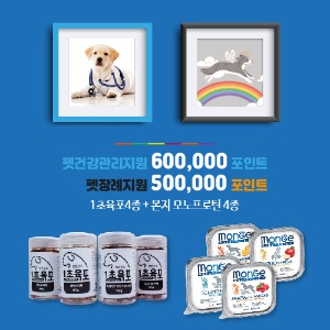 Dog 7만원 정기배송 - 스페셜 Type