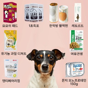 Dog 10만원 정기배송 간식 Type-2