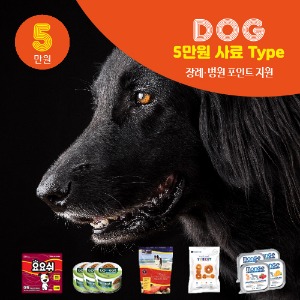 Dog 5만원 정기배송 사료 Type
