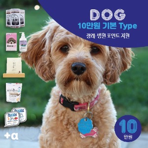 Dog 10만원 정기배송 기본 Type