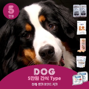 Dog 5만원 정기배송 간식 Type