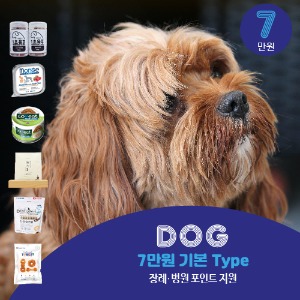 Dog 7만원 정기배송 기본 Type