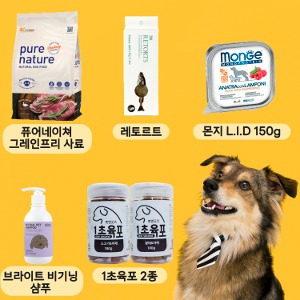 Dog 5만원 정기배송