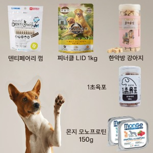 Dog 5만원 정기배송 기본 Type